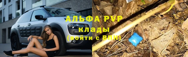 гашик Нягань
