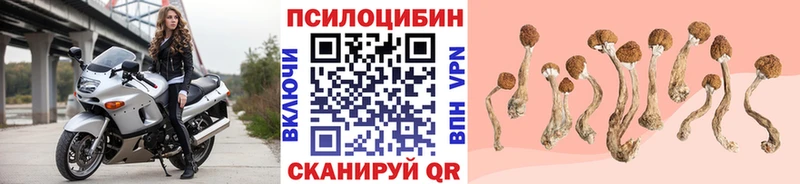 Галлюциногенные грибы ЛСД  где купить   Кондопога 