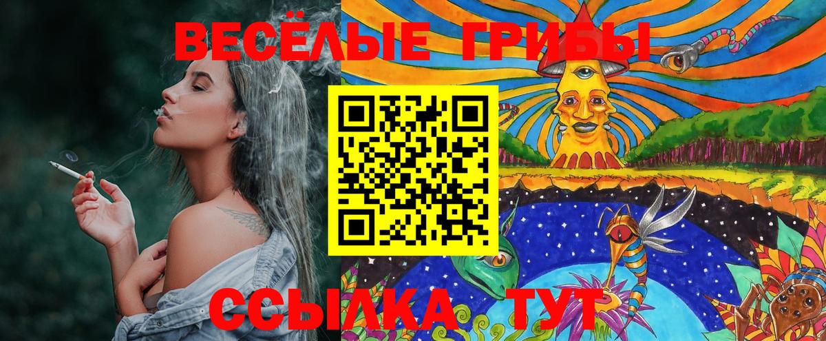 Псилоцибиновые грибы MAGIC MUSHROOMS  Кондопога  наркотики  Псилоцибиновые грибы MAGIC MUSHROOMS 