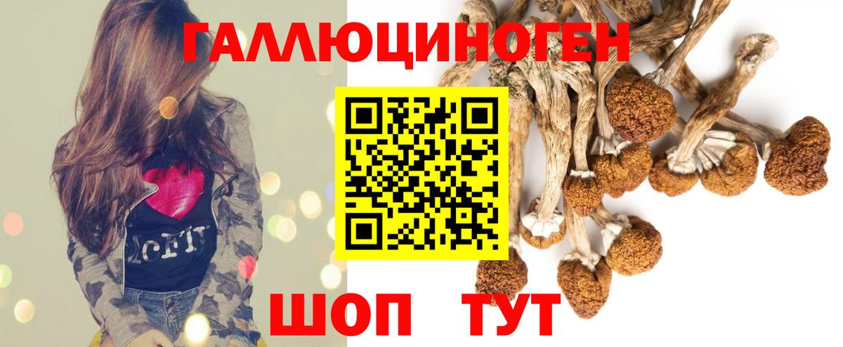 Кондопога  Галлюциногенные грибы MAGIC MUSHROOMS  Псилоцибиновые грибы MAGIC MUSHROOMS  Вход с VPN 